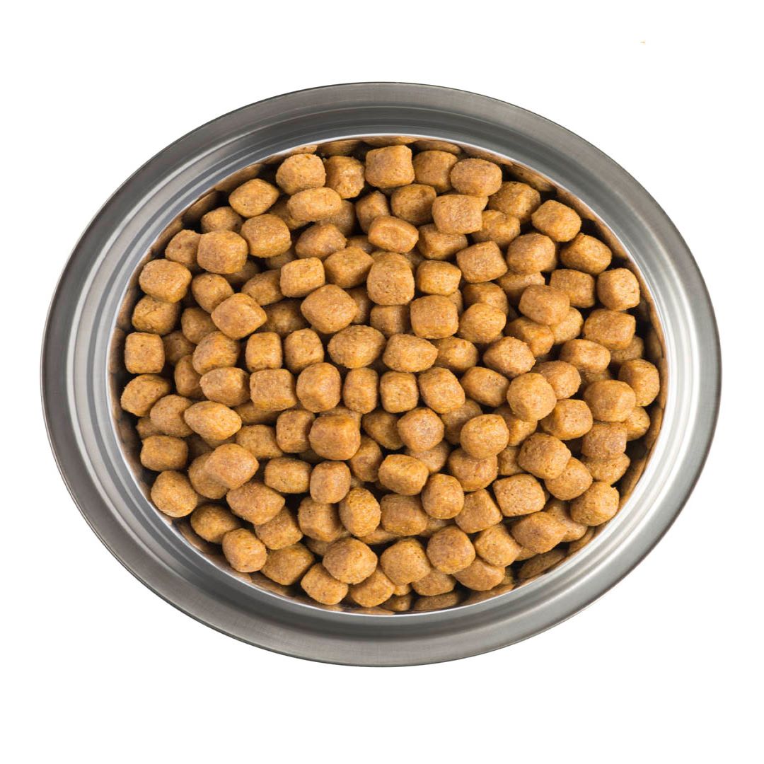 Purina Veterinary Diets PRO PLAN CANINE DM Diabetes Management – 3 Kg, Diätfutter Für Hunde